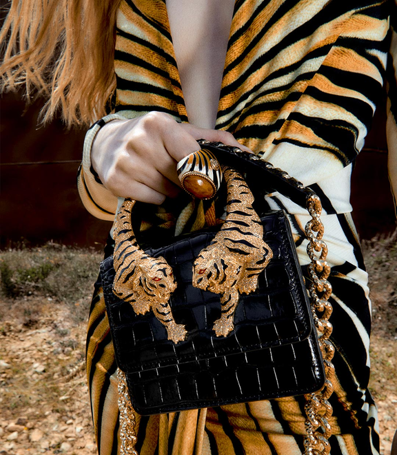 RAY OF GOLD CAPSULE ACCESSORIES