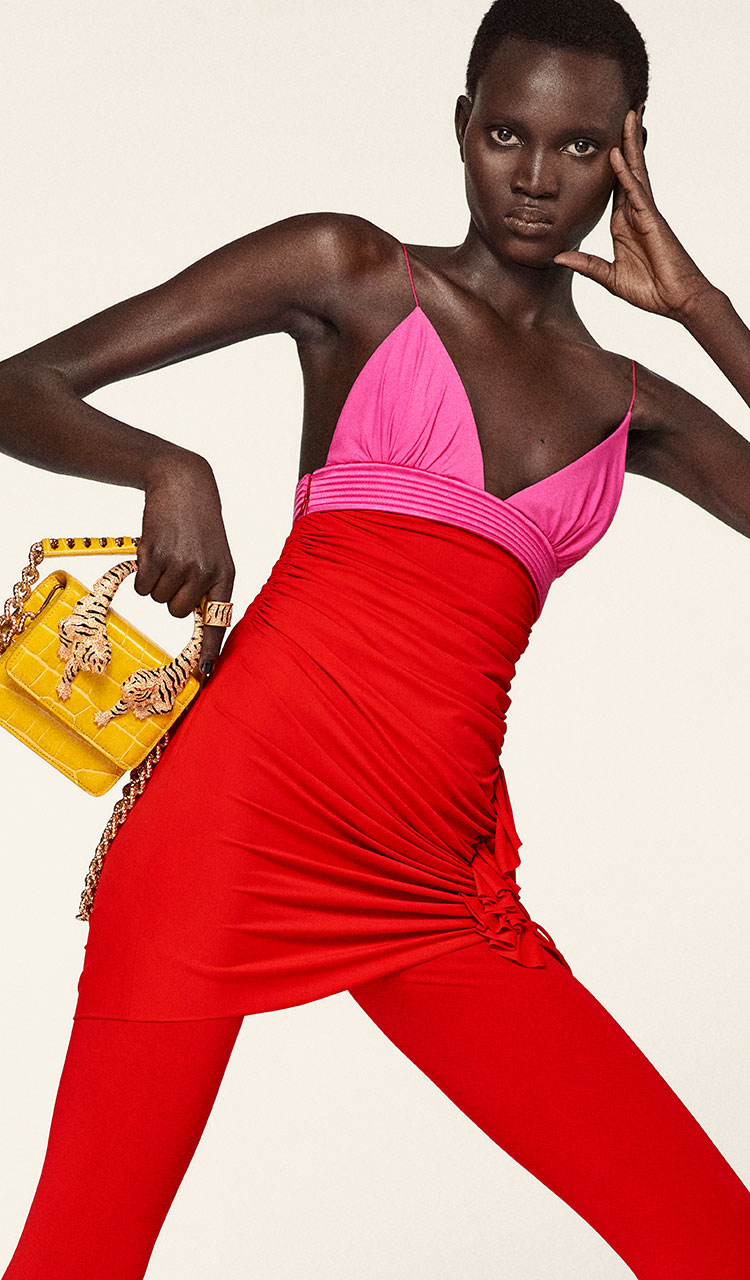 Roberto Cavalli® Women: Clothes, Bags & Accessories
