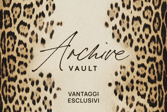archive vault image